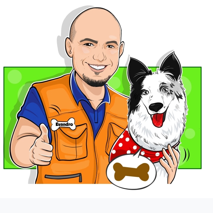 Trabalho bom pra Cachorro