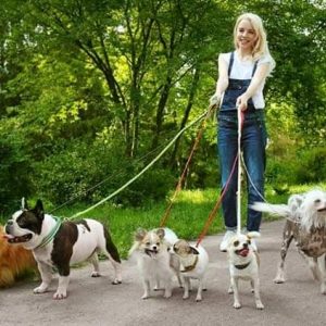 dog-walker